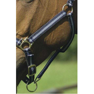 Licol nylon doublé cuir Norton Marine / ciel Bleu