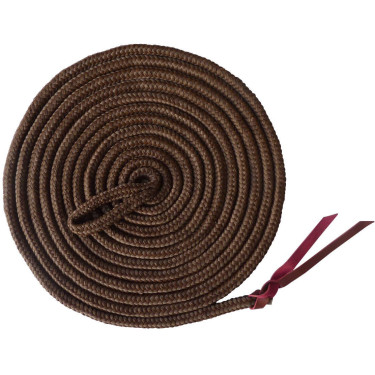 Longe éthologique de travail Marron