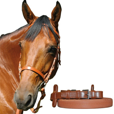 Bride de course Canter Bride de course Canter