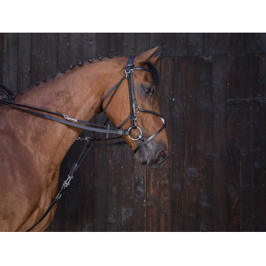 Rênes de gogue cuir Riding World Noir