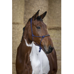 Licol éthologique Norton corde/synthétique Bleu roi Licol éthologique Norton corde/synthétique Bleu roi