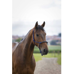 Licol éthologique Norton corde/synthétique Bleu marine