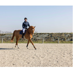 Veste matelassée Pro Series Diagonal Bleu marine Veste matelassée Pro Series Diagonal Bleu marine