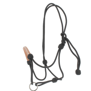 Licol éthologique Pénélope américain Noir