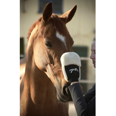 Gant de pansage Pénélope Noir Gant de pansage Pénélope Noir