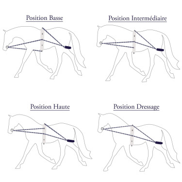 Enrênement Privilège corde Privilege Equitation Enrênement Privilège corde Privilege Equitation