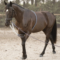 Enrênement Soft Rope Canter Marine / blanc Bleu