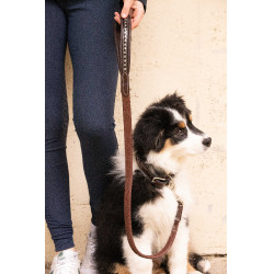Laisse chien Pénélope Rubber Havane Marron