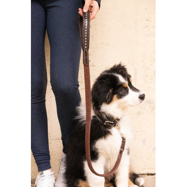 Laisse chien Pénélope Rubber Havane Marron
