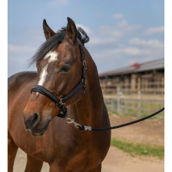 Licol Equithème Nylon Strass Noir