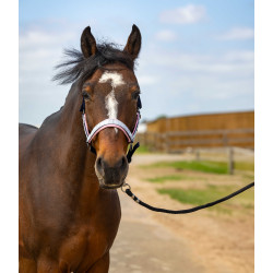 Licol Equithème Nylon Check Marine / rose Bleu Licol Equithème Nylon Check Marine / rose Bleu