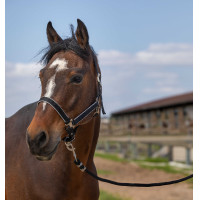 Licol Equithème Nylon light Bleu marine