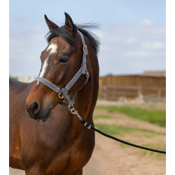 Licol Equithème Nylon light Gris