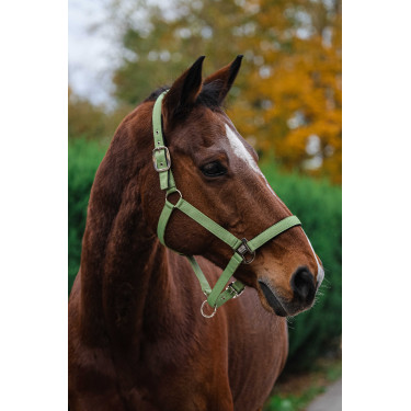Licol Nylon Spring Equithème Vert clair