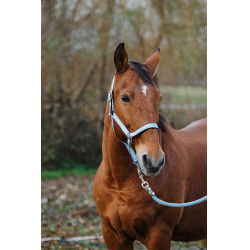 Licol Nylon Spring Equithème Turquoise Bleu Licol Nylon Spring Equithème Turquoise Bleu