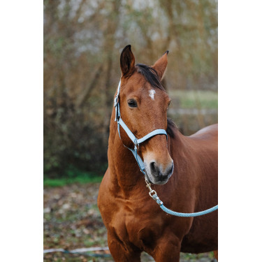 Licol Nylon Spring Equithème Turquoise Bleu Licol Nylon Spring Equithème Turquoise Bleu