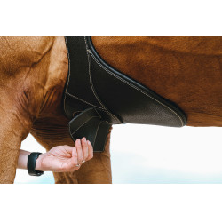 Sangle bavette Magnet Norton Noir