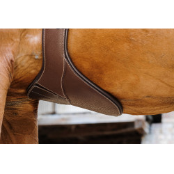 Sangle bavette Magnet Norton Havane Marron Sangle bavette Magnet Norton Havane Marron