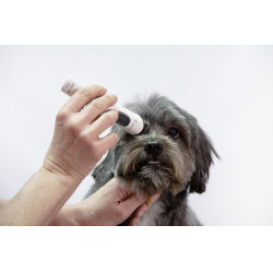 Tondeuse Aesculap Exacta sans fil Tondeuse Aesculap Exacta sans fil