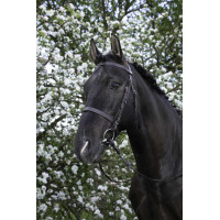 Bridon Riding World Muserolle française Noir