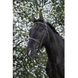 Bridon Riding World Muserolle française Havane Marron Bridon Riding World Muserolle française Havane Marron