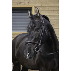 Bridon Riding World Muserolle combinée Havane Marron Bridon Riding World Muserolle combinée Havane Marron