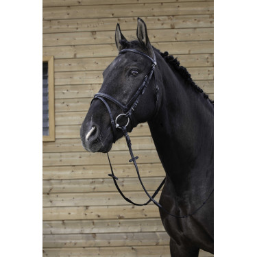 Bridon Riding World Muserolle combinée Noir