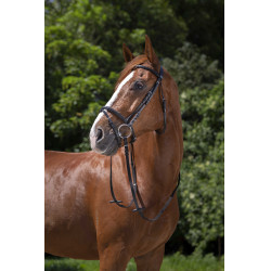 Bridon Riding World Muserolle combinée Noir