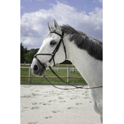 Bridon Riding World Muserolle croisée Havane Marron