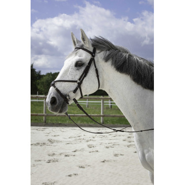 Bridon Riding World Muserolle croisée Havane Marron