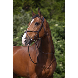 Bridon Riding World Muserolle croisée Havane Marron