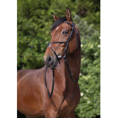 Bridon Riding World Muserolle croisée Noir