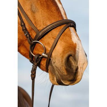 Bridon Riding World muserolle combinée double Havane Marron
