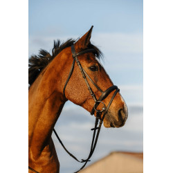 Bridon Riding World muserolle combinée double Noir