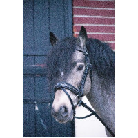 Bridon Pénélope Eden Havane Marron