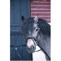 Bridon Pénélope Eden Noir