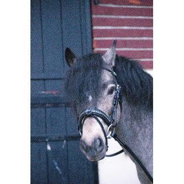 Bridon Pénélope Eden