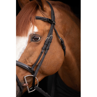 Birdon Oxford Performance Pénélope Noir