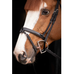 Birdon Oxford Performance Pénélope Noir