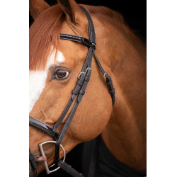 Birdon Oxford Performance Pénélope Noir