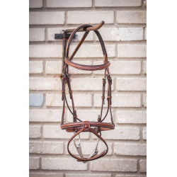 Bridon Hunter US Pénélope Noisette / havane