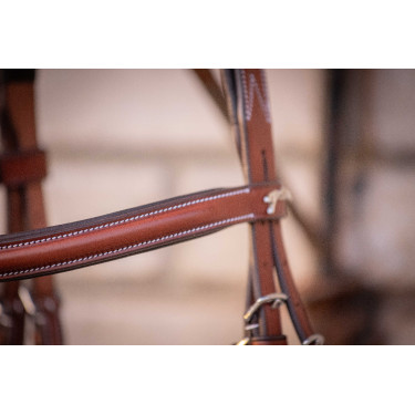 Bridon Hunter US Pénélope Noisette / havane