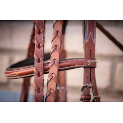 Bridon Hunter US Pénélope Noisette / havane