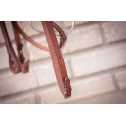 Bridon Hunter US Pénélope Noisette / havane