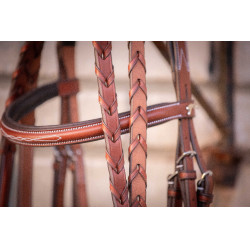 Bridon Hunter US Pénélope Noisette / havane