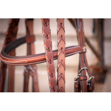 Bridon Hunter US Pénélope Noisette / havane