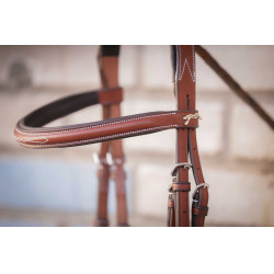 Bridon Hunter US Pénélope Noisette / havane