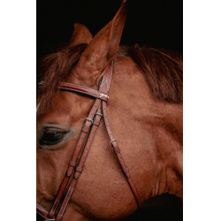 Bridon Hunter US Pénélope Noisette / havane