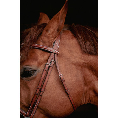 Bridon Hunter US Pénélope Noisette / havane