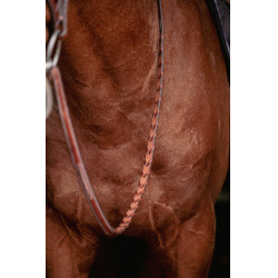 Bridon Hunter US Pénélope Noisette / havane